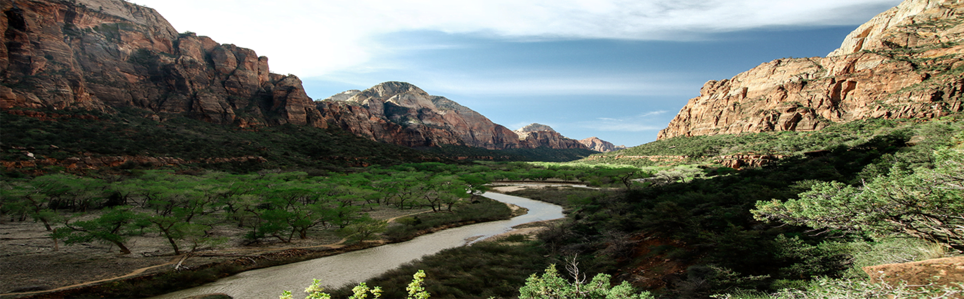 ZION-NATIONAL-PARK