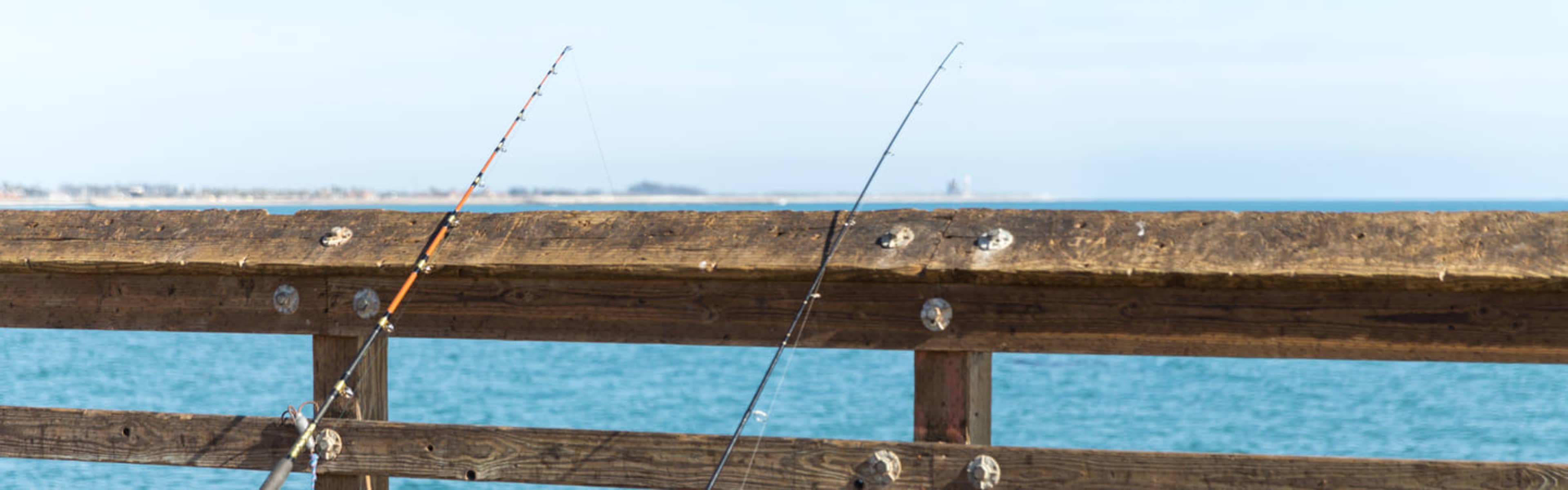 Pier Fishing, Los Angeles