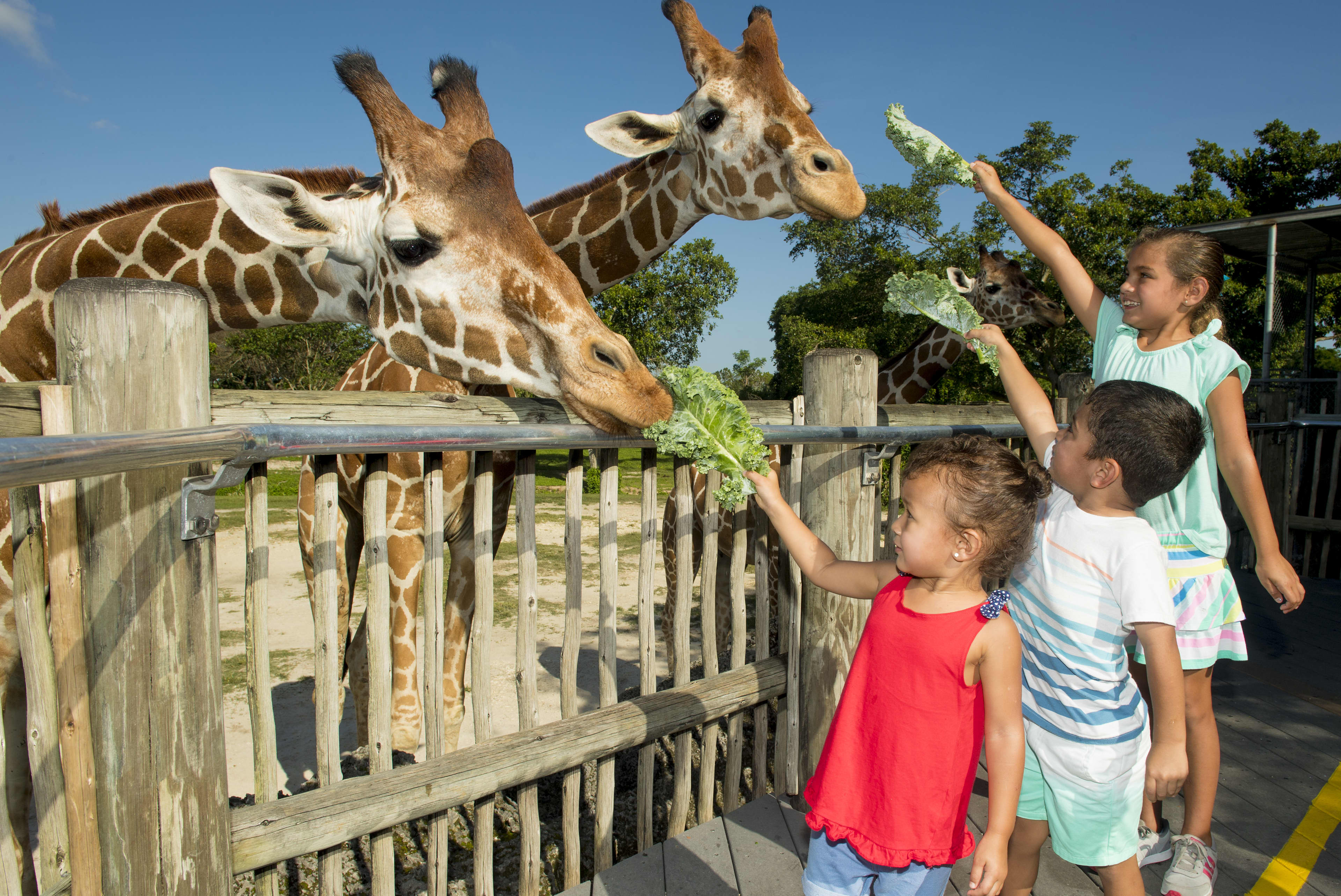 Miami Zoo