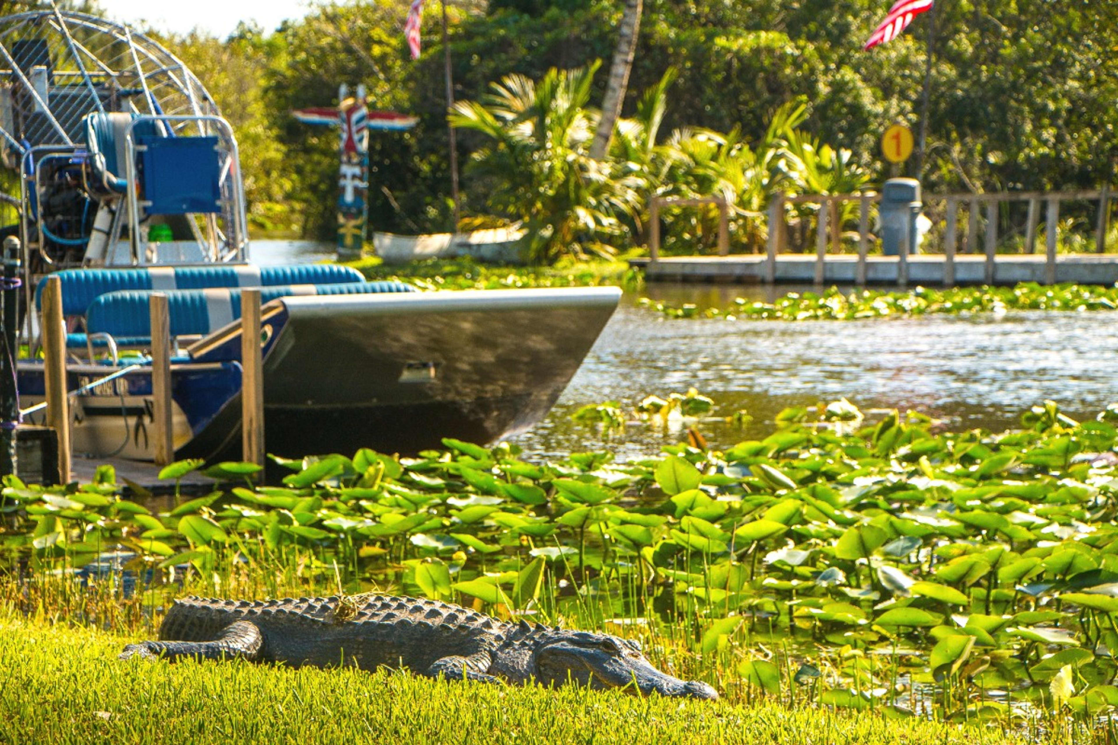 Gray Line Miami: Everglades Airboat Adventure Tour | Go Miami Pass