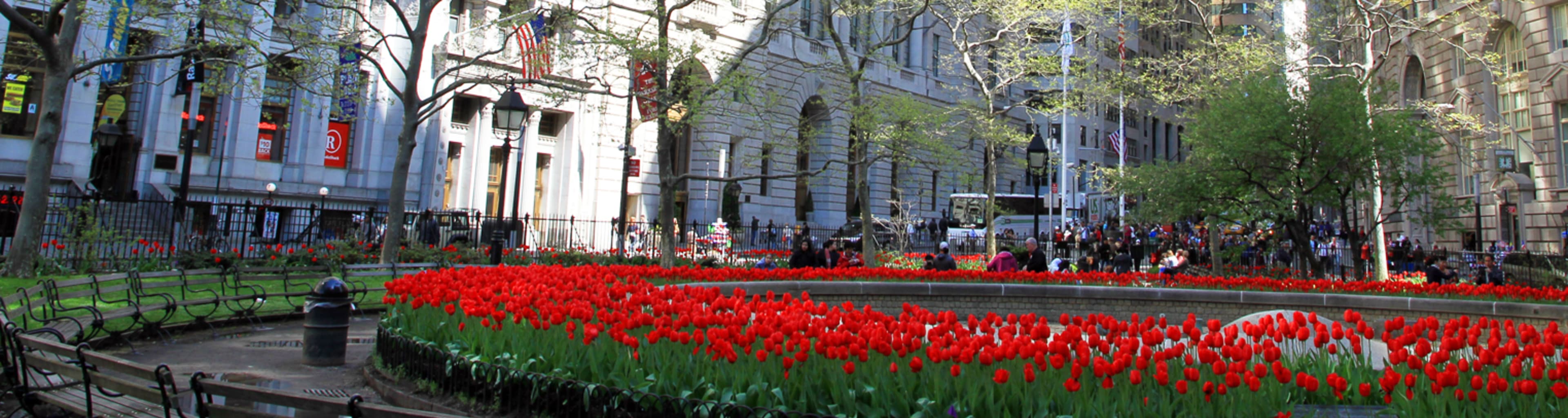 NYC Slavery and Underground Railroad Tour