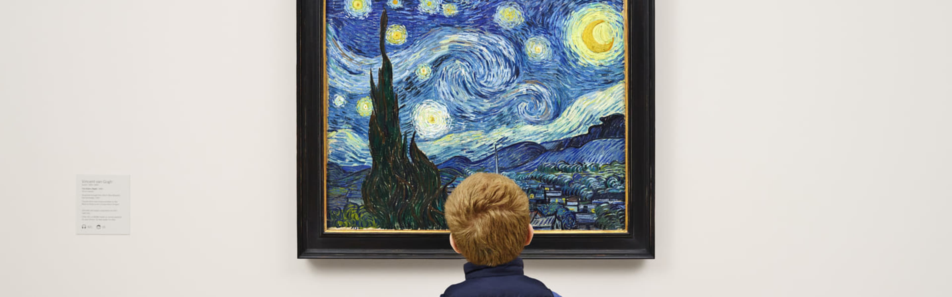 MoMA Starry Night