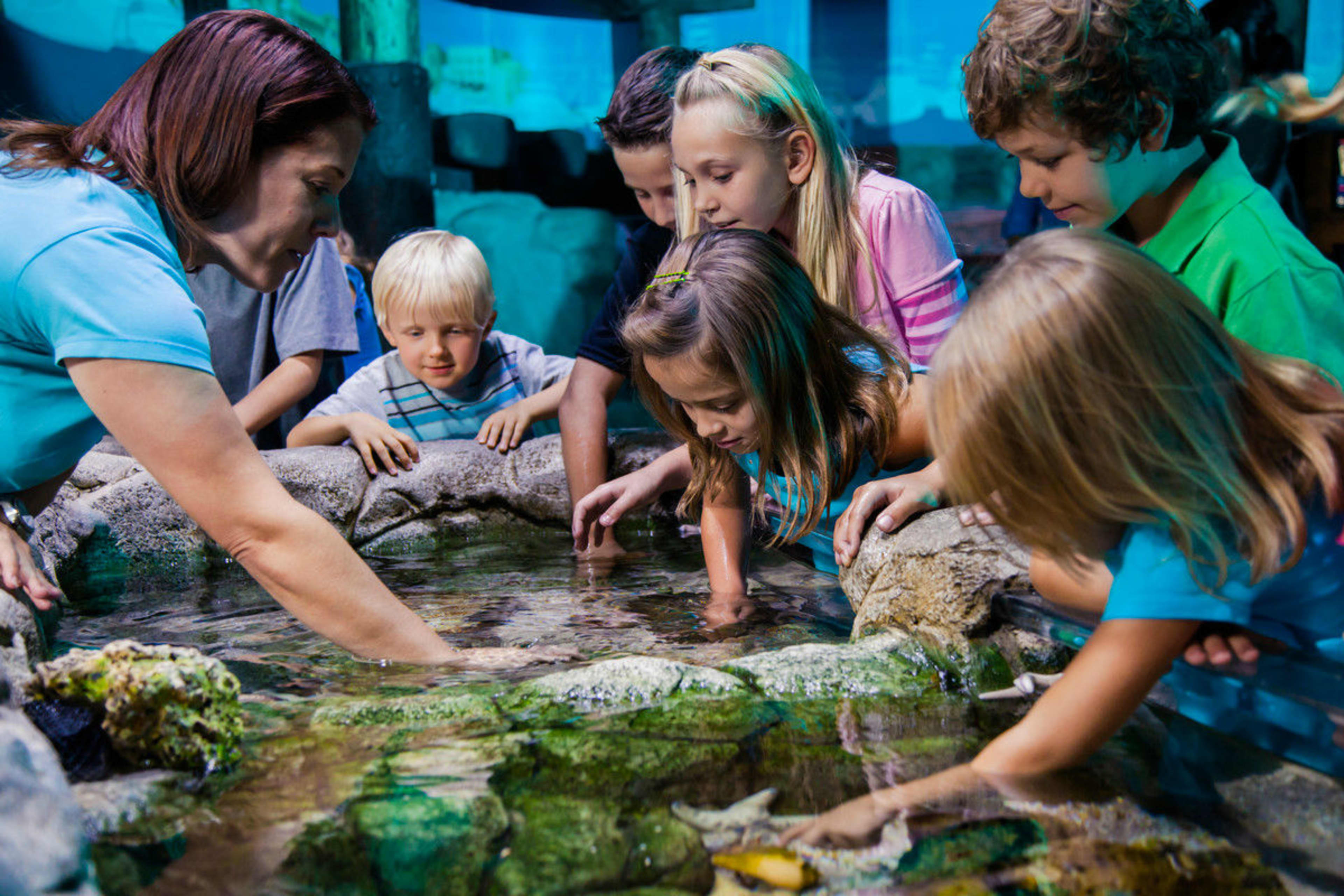 SEA LIFE Aquarium Orlando | Go Orlando Pass