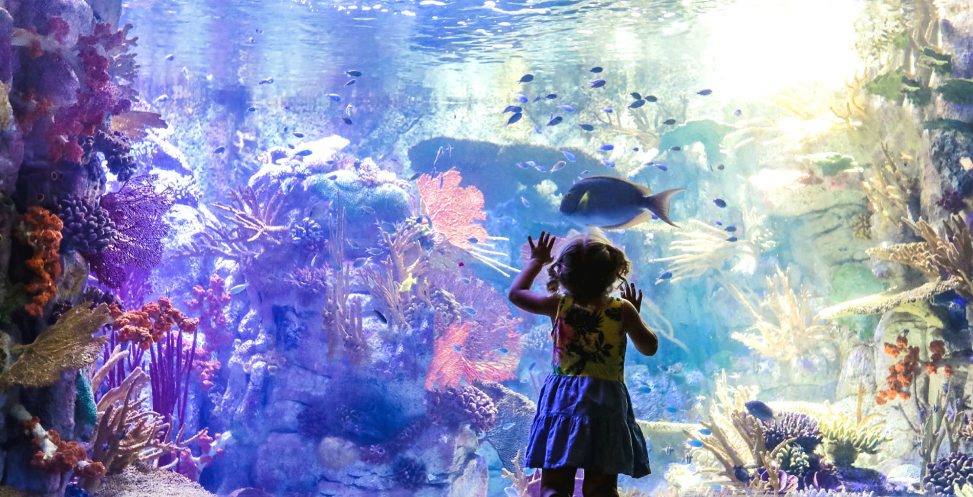 San Diego Birch Aquarium