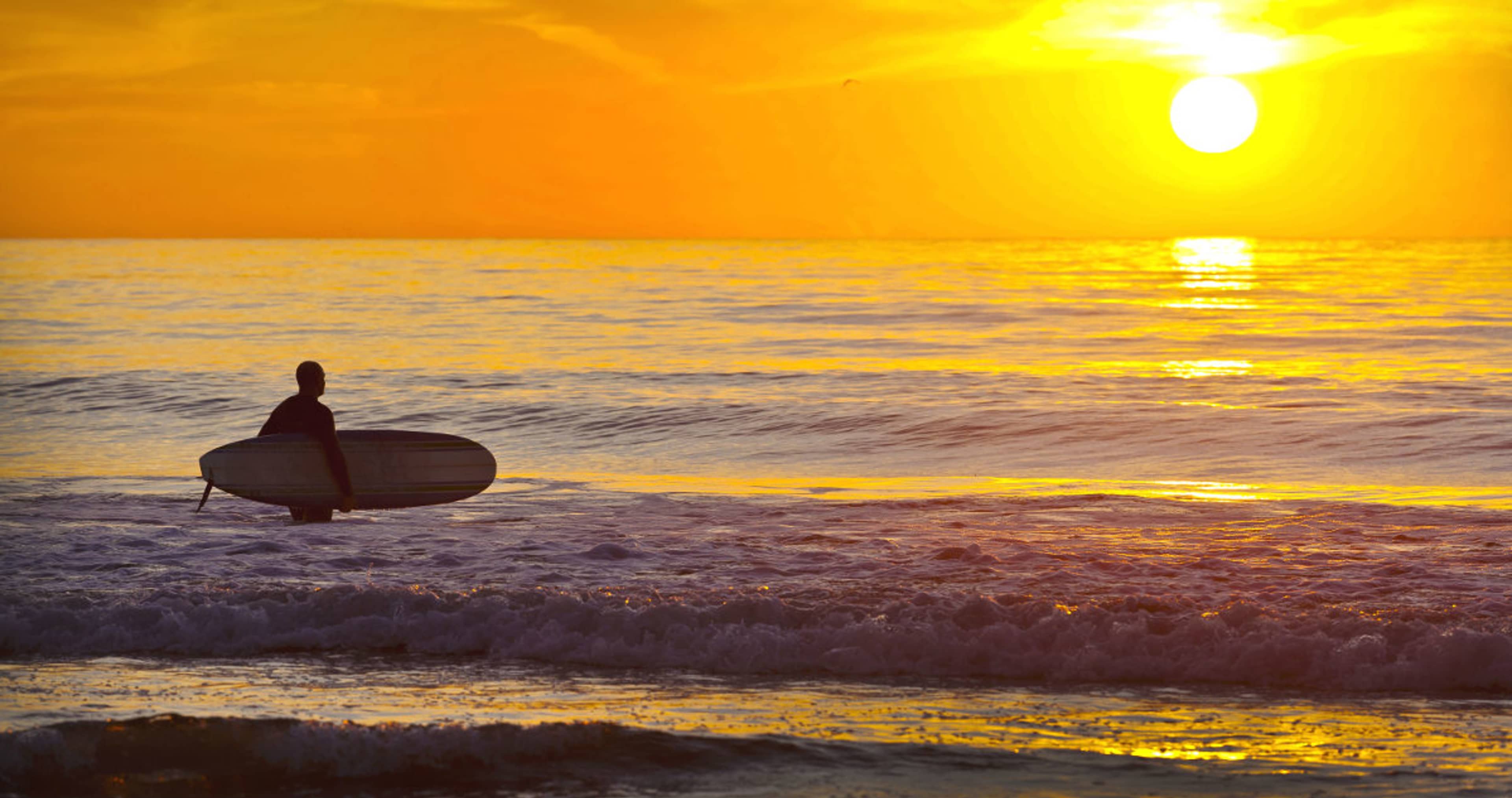 Surf Board Rental La Jolla Full Day Free With Go San Diego