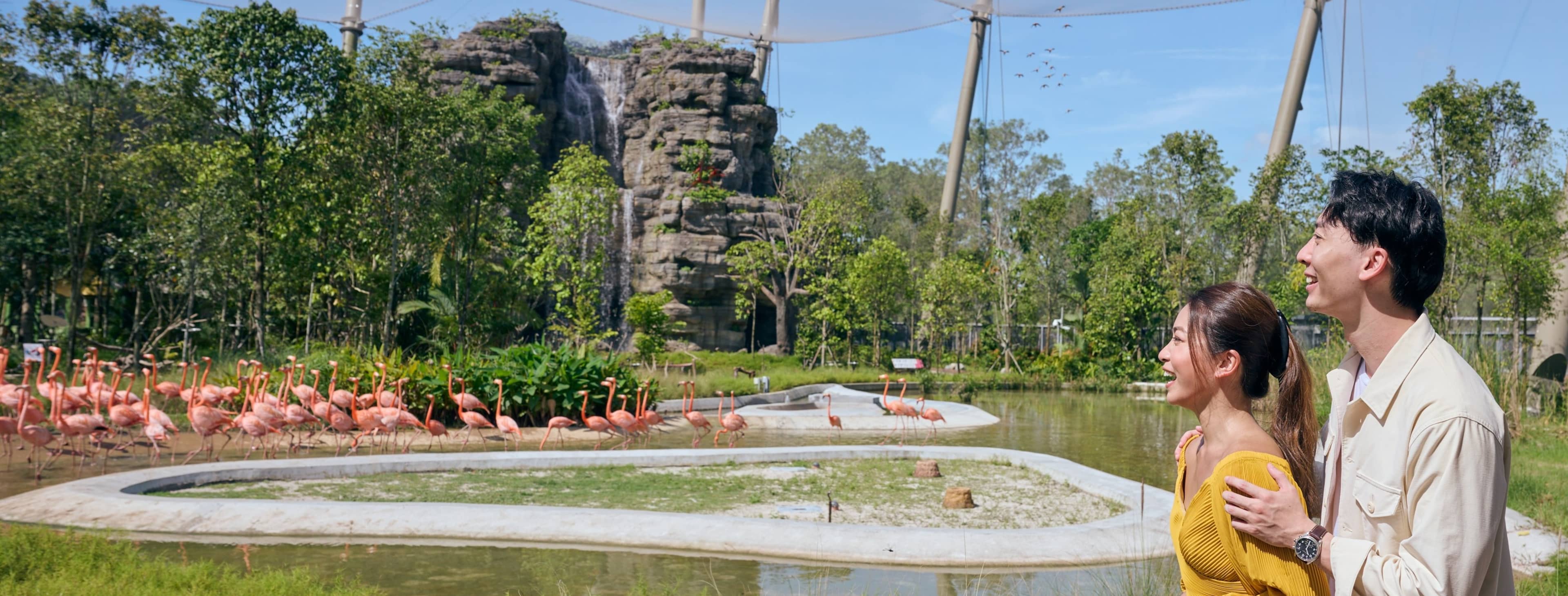 Visit Singapore and experience the best things to do - Mandai Singapore Bird Paradise - Go City Singapore attractions pass 