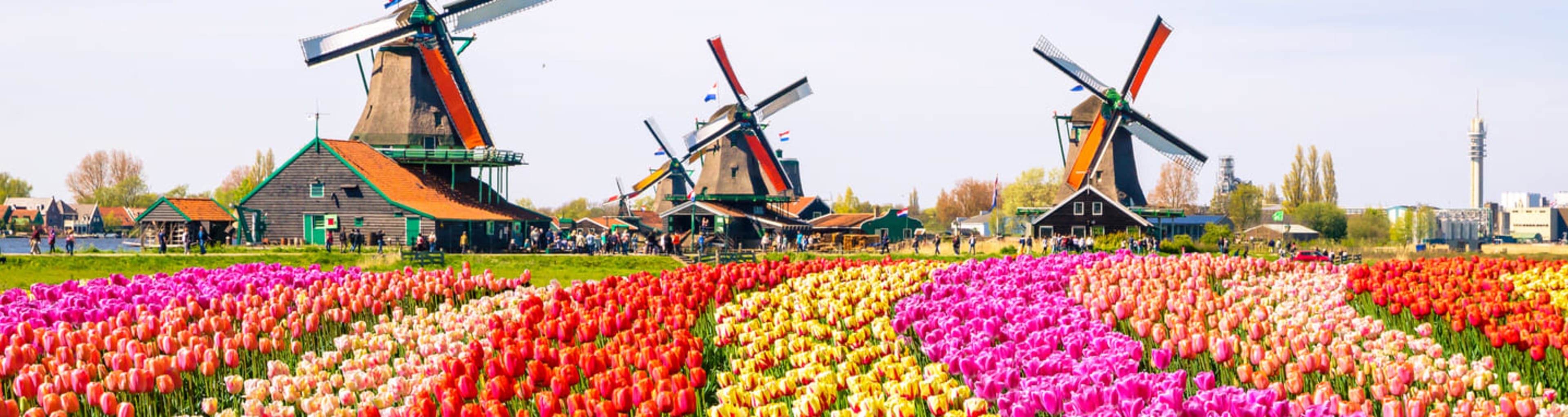 Windmühlen auf dem Keukenhof Amsterdam