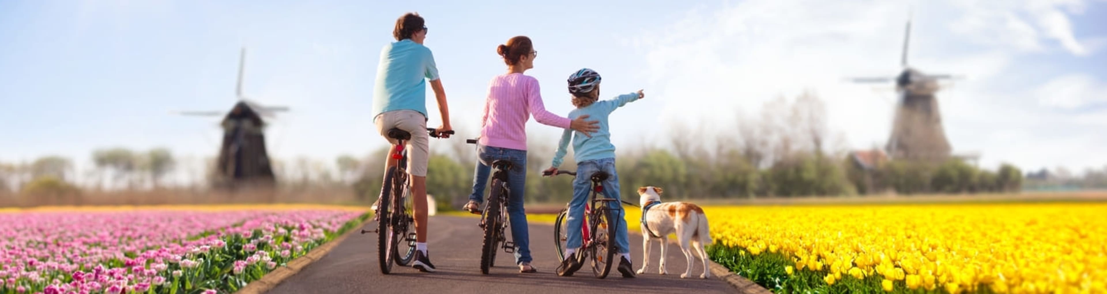 Family cycling through flower fields in the Netherlands