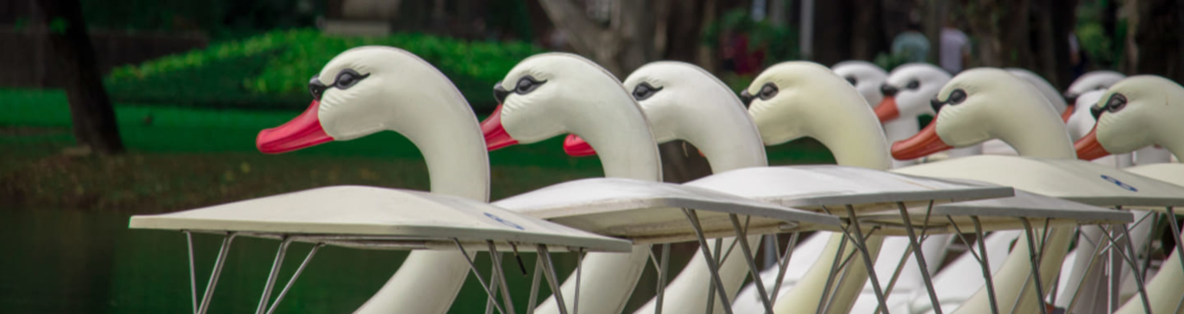 Swan pedal boats in Lumpini Park, Bangkok.