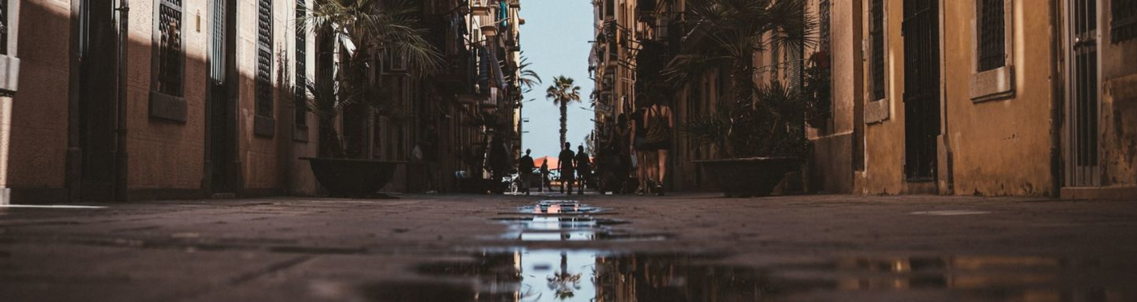 A Barcelona street on a wet day, with puddle in foreground and single palm tree silhouetted at the end