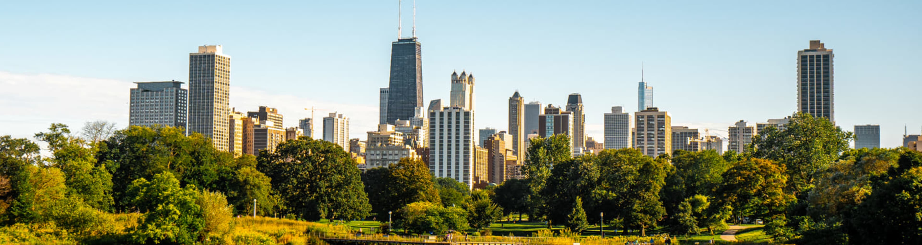 Skyline Chicago