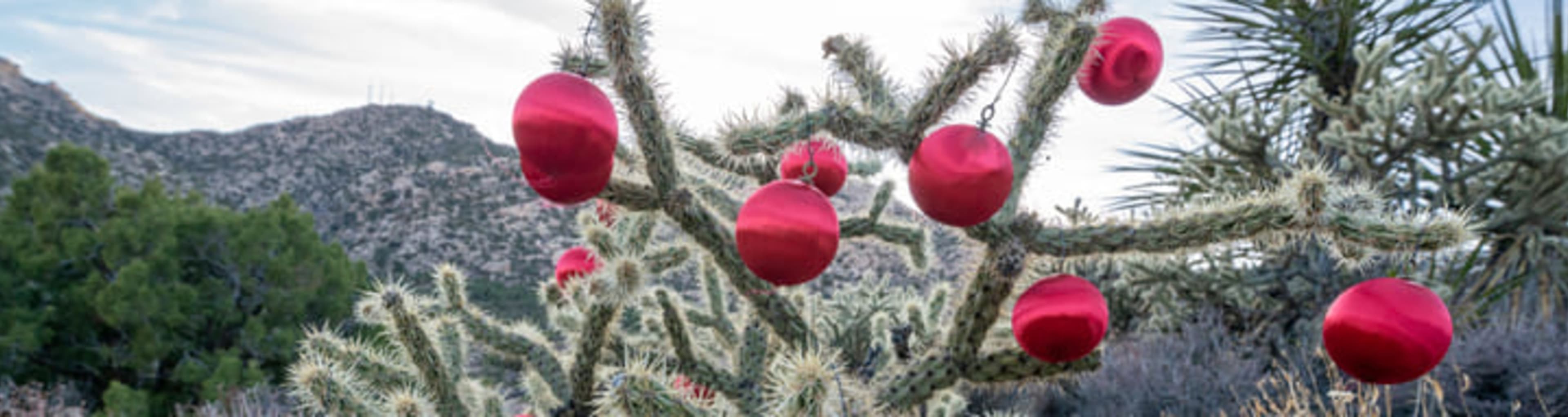 Bright red baubles hanging from a cactus in the Mojave Desert near Las Vegas