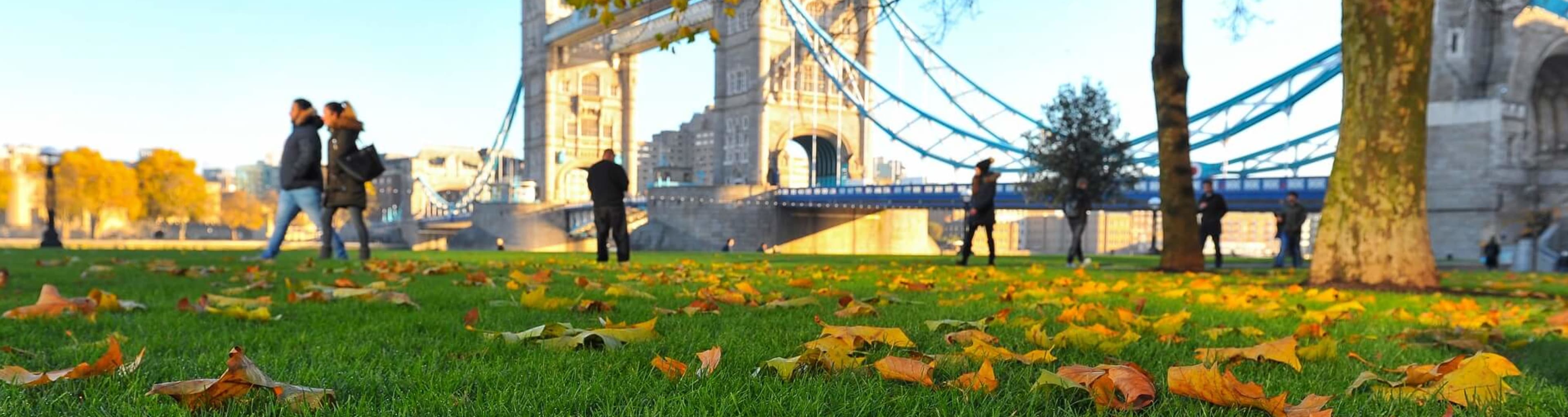 The Tower of London will a foreground of fallen leaves