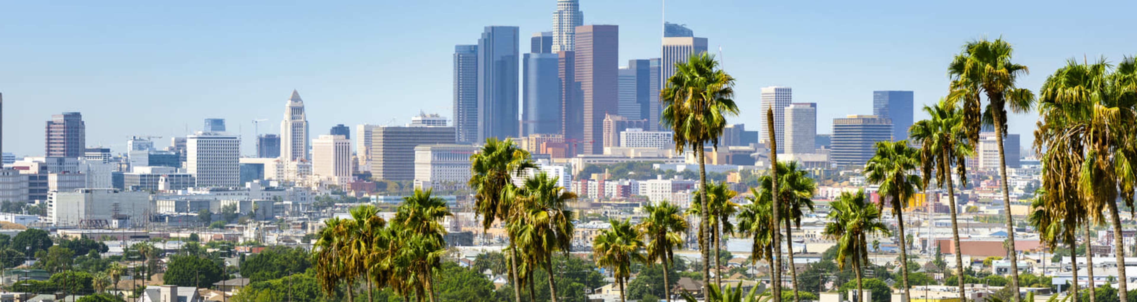 LA Skyline Banner