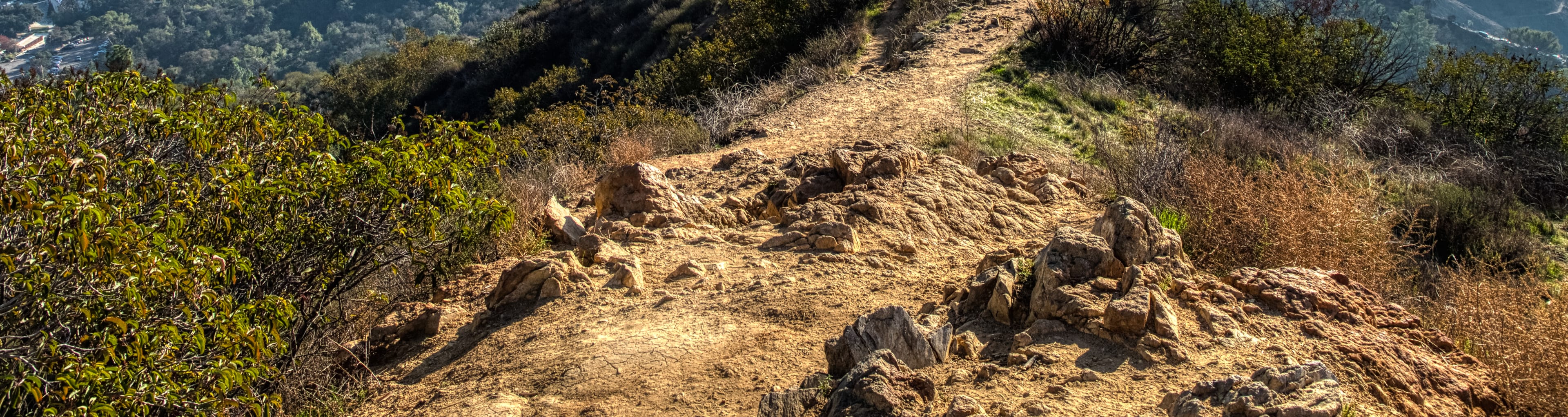 Une randonnée à Griffith Park