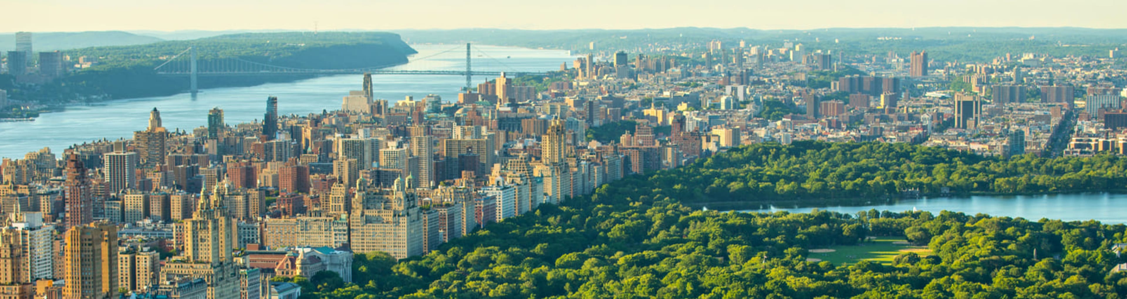 Aerial view of New York, Central Park