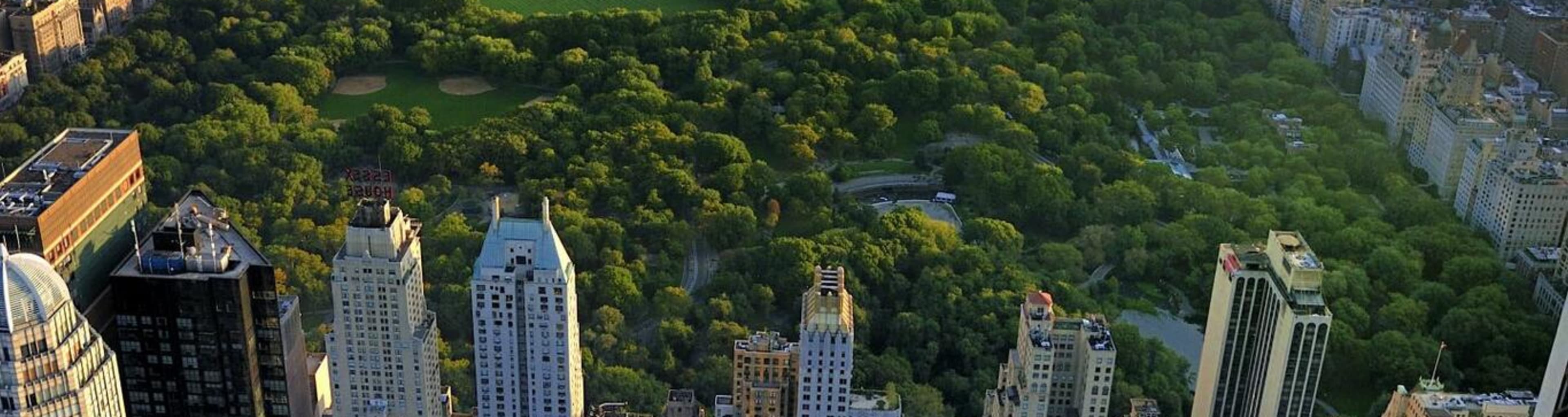 Aerial view of Central Park, New York.
