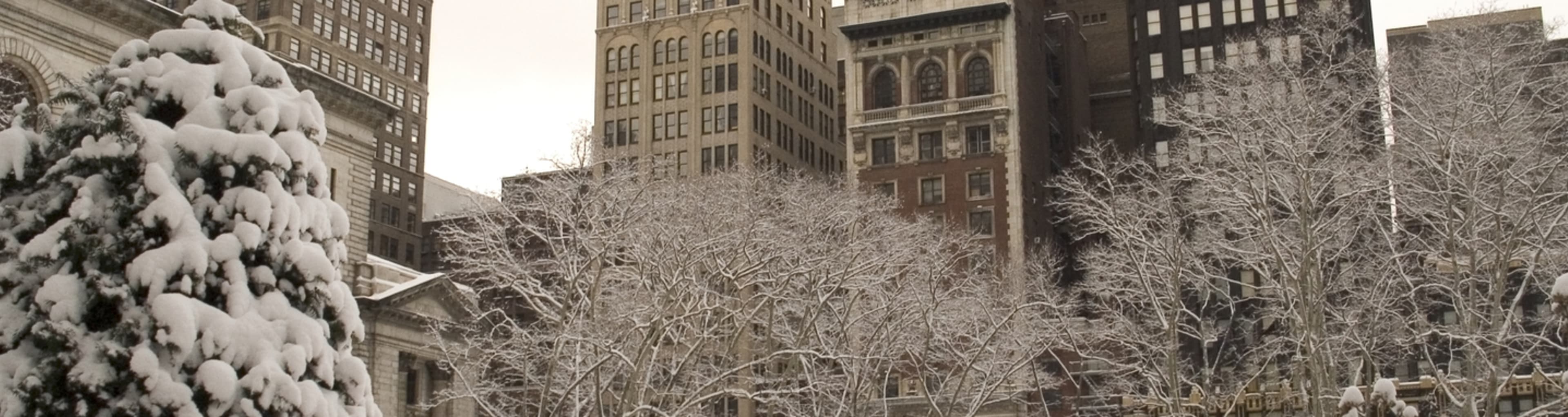 La Biblioteca de Nueva York y Bryant Park