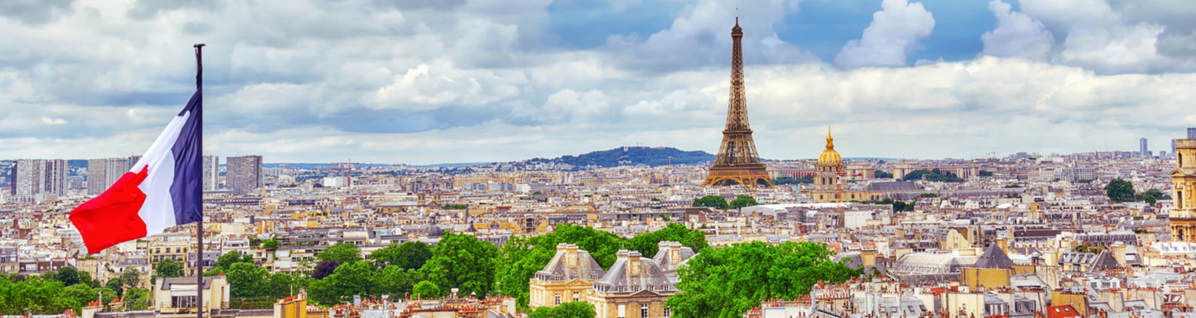 Panorama of Paris including the Eiffel Tower and French flag