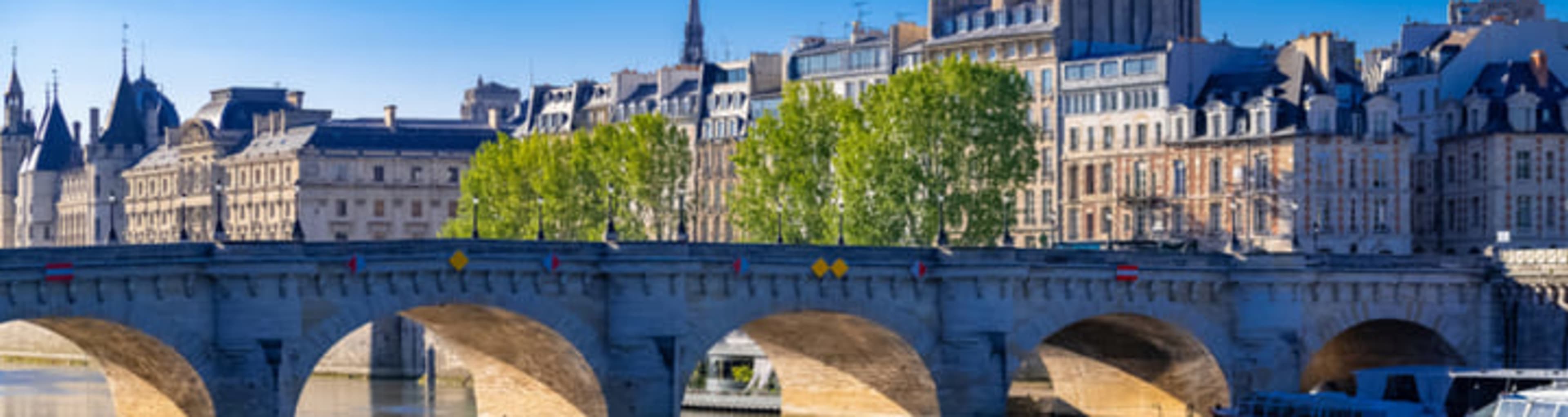 View of Pont Neuf and Île de la Cité in Paris