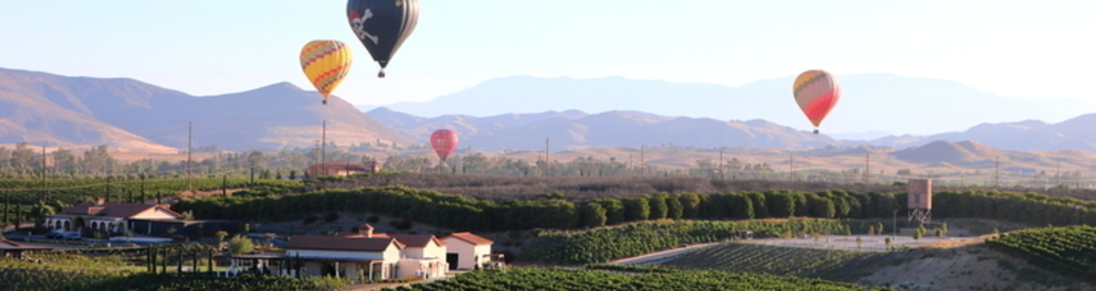 Hot-air balloons flying over a California vineyard