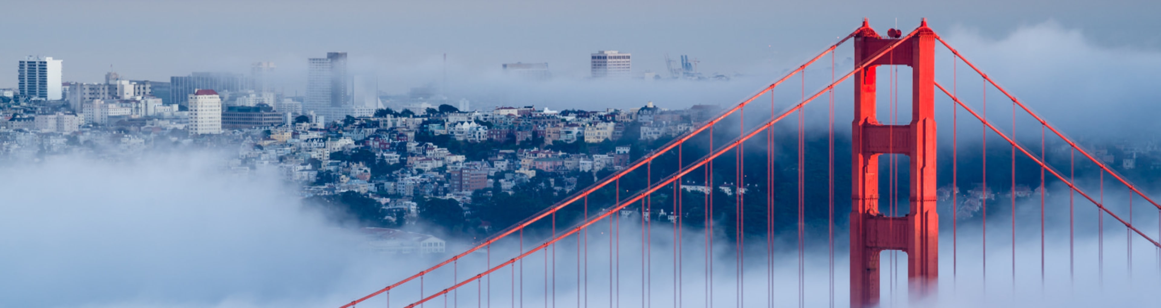 Tip of the Golden Gate Bridge peaking out above a cloud of fog