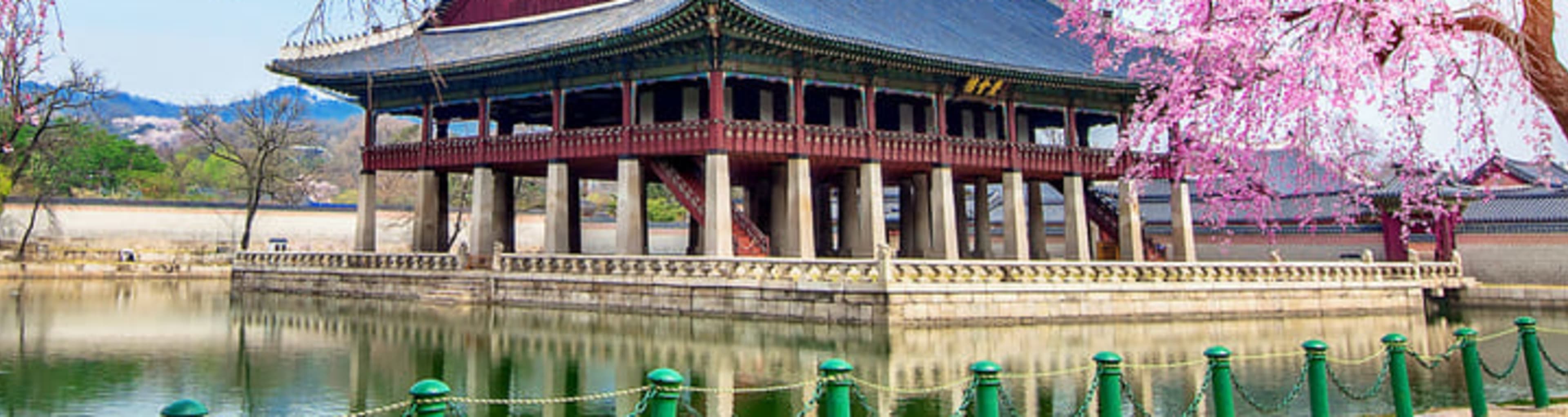 Seoul's Gyeongbokgung Palace in spring, with pink cherry blossoms in the foreground.