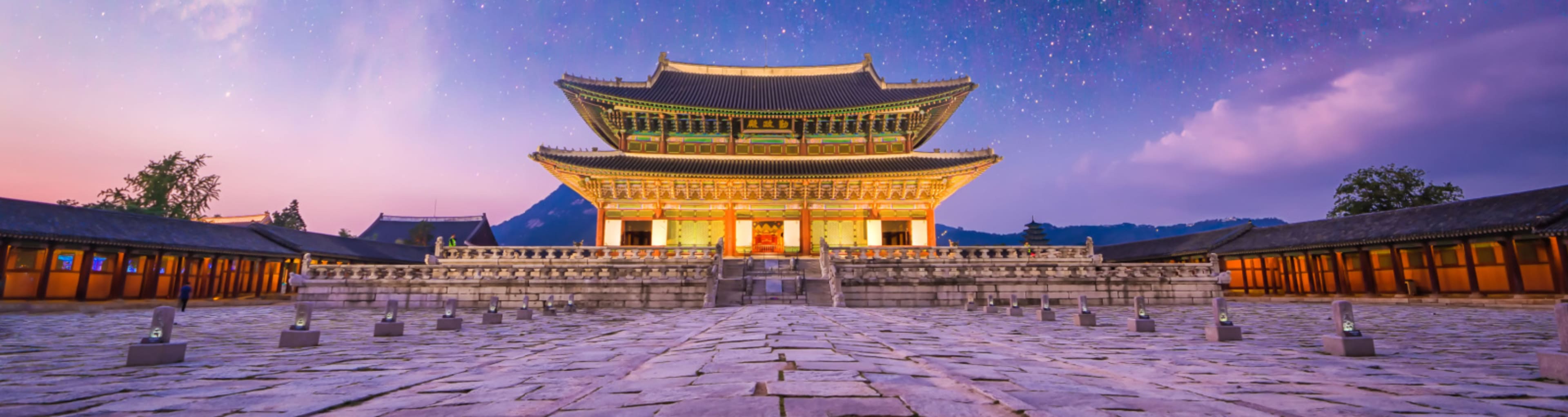 Seoul's palace at night with a starry background