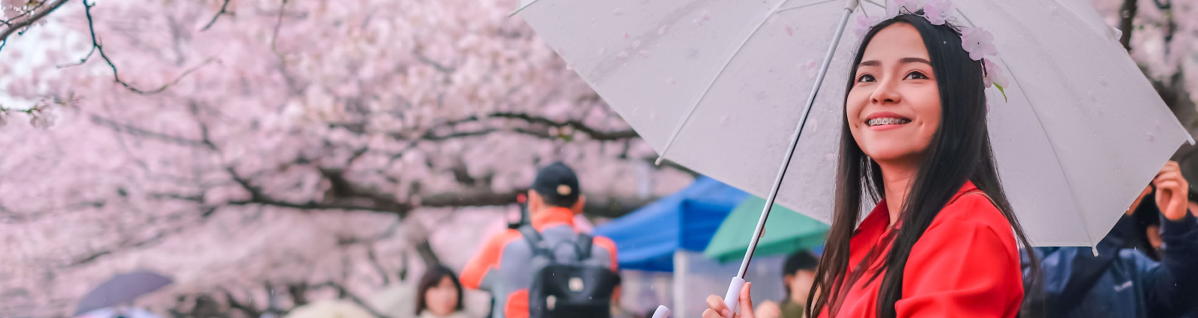 Crowds of people under cherry blossoms in Seoul, South Korea