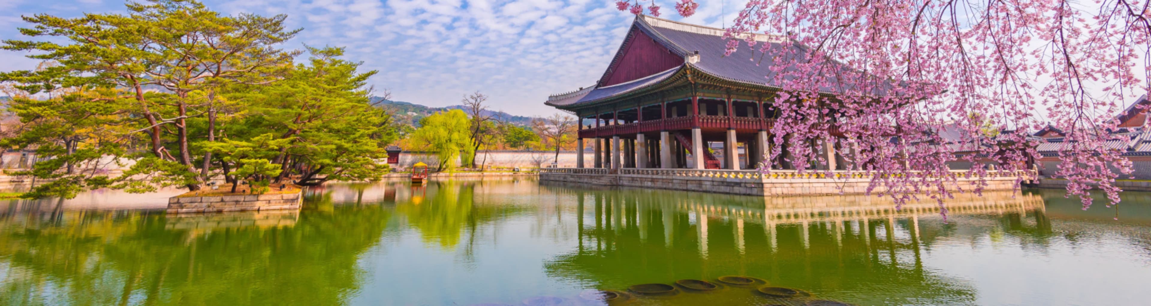 Seoul palace building by a pond with cherry blossoms