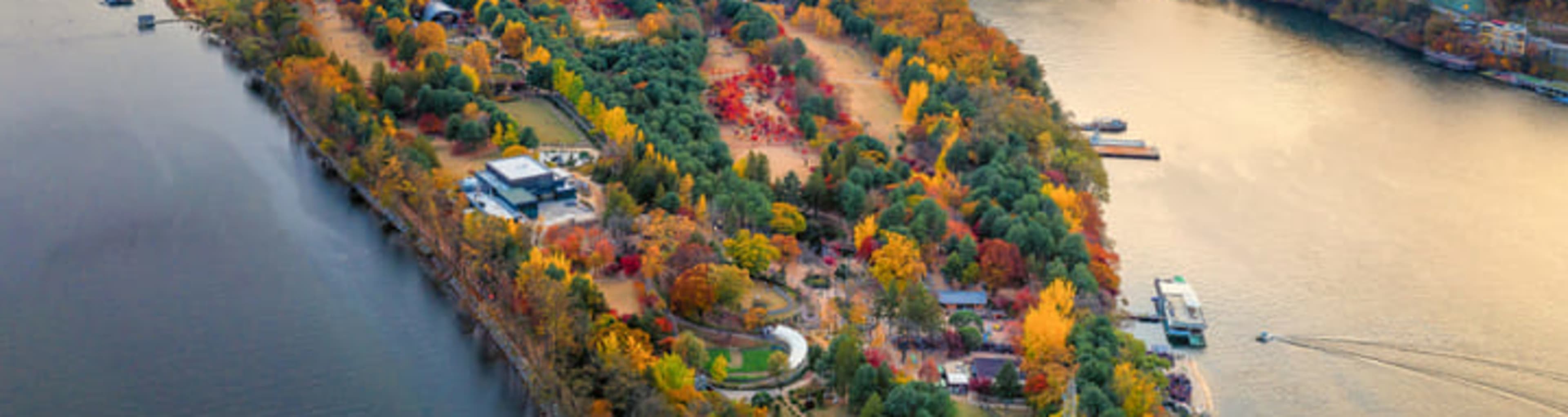 Nami Island in Seoul