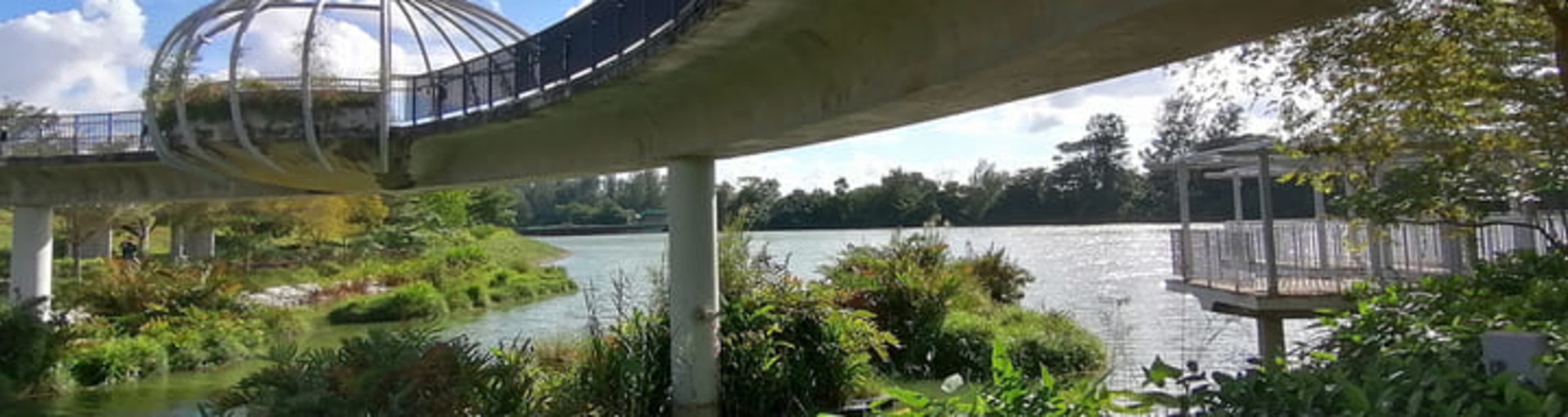 The Jewel Bridge at Punggol Waterway park in Singapore.