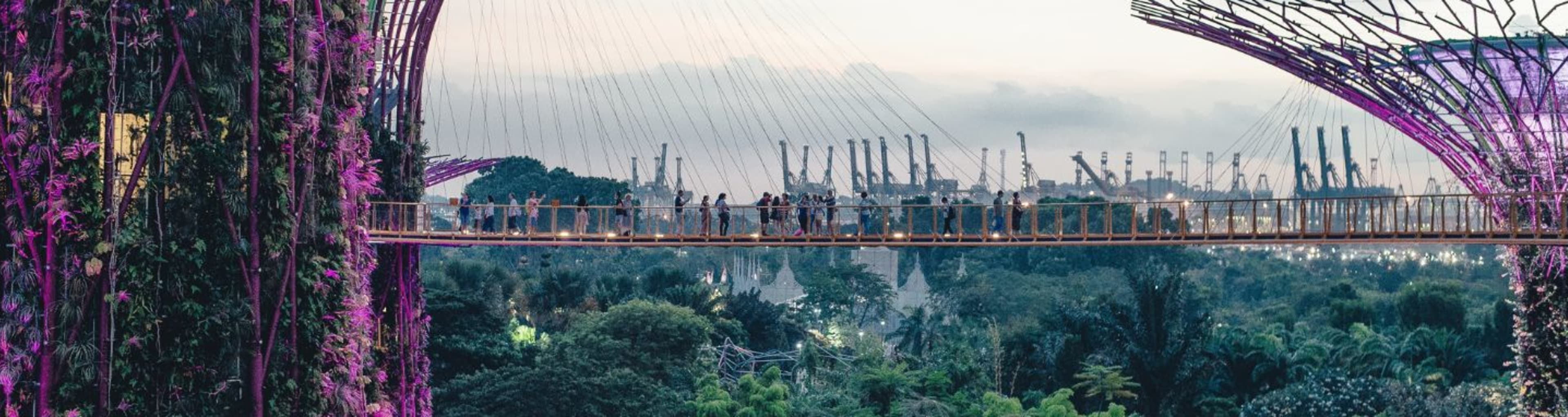 People on bridge between two purple Singapore supertrees, with cityscape in background