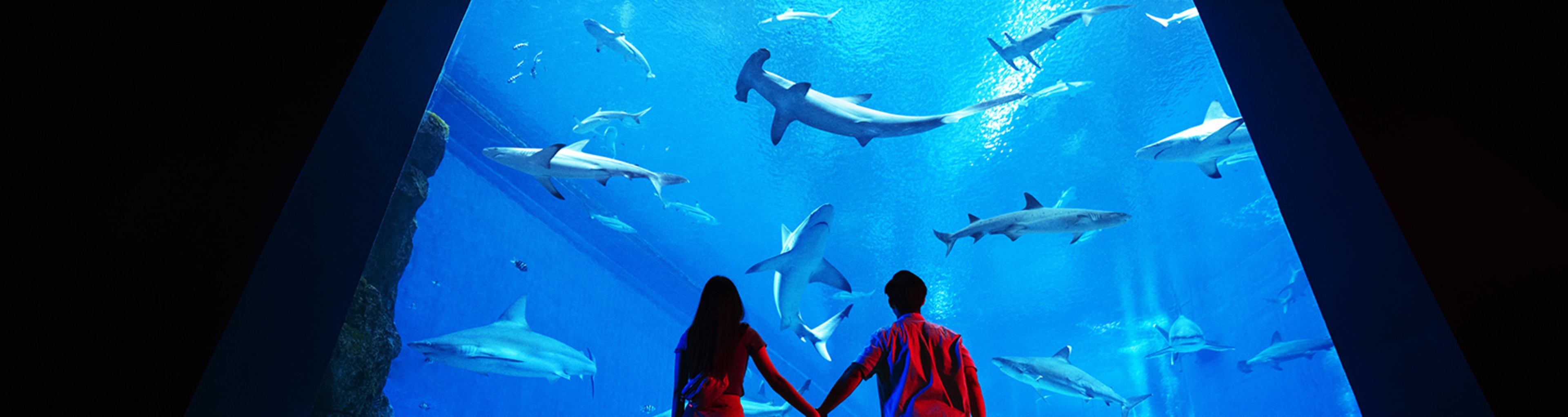 Singapore SEA Aquarium