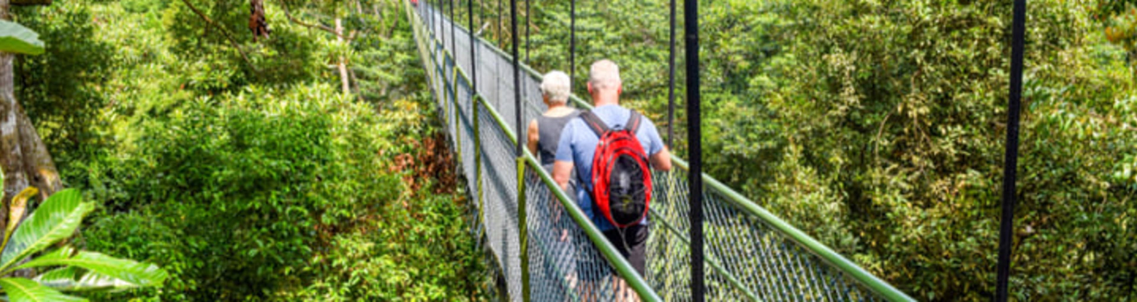 Tourists crossing a pedestrian bridge in the Singapore jungle