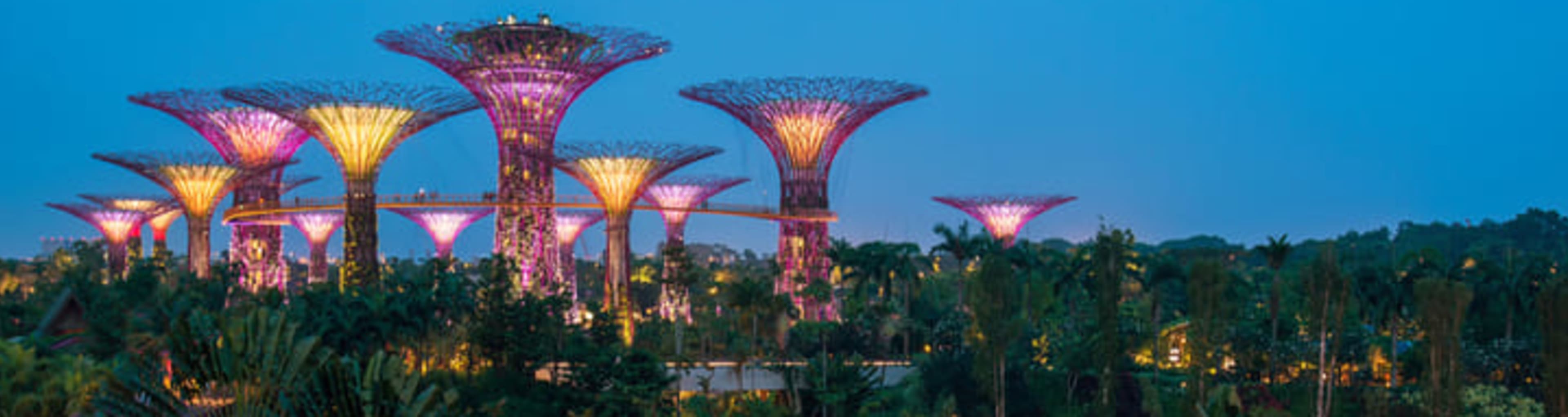 Supertree structures at twilight in Singapore's Gardens by the Bay.