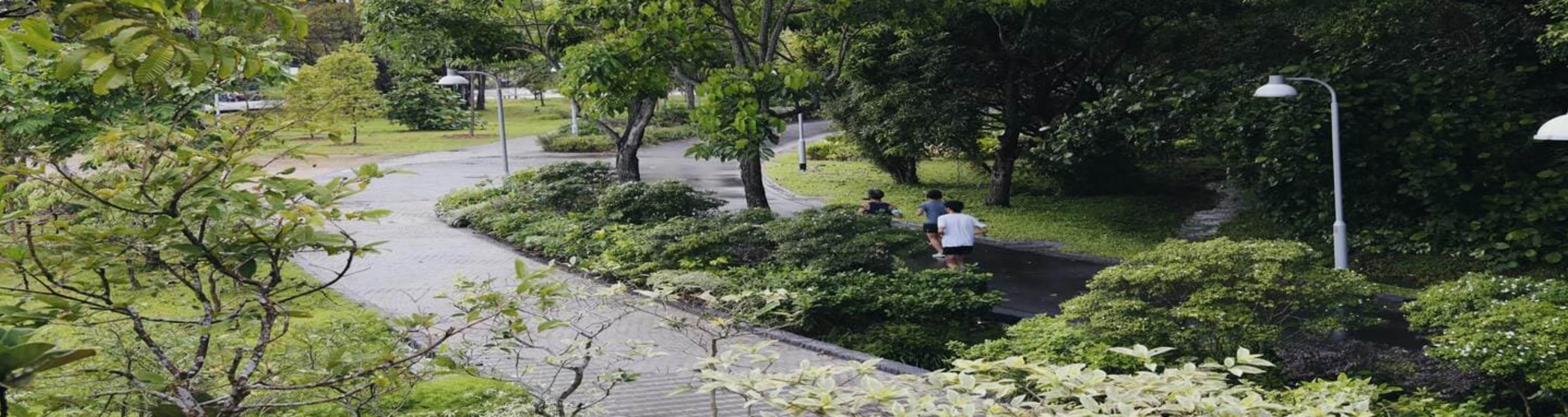 People running in Jurong