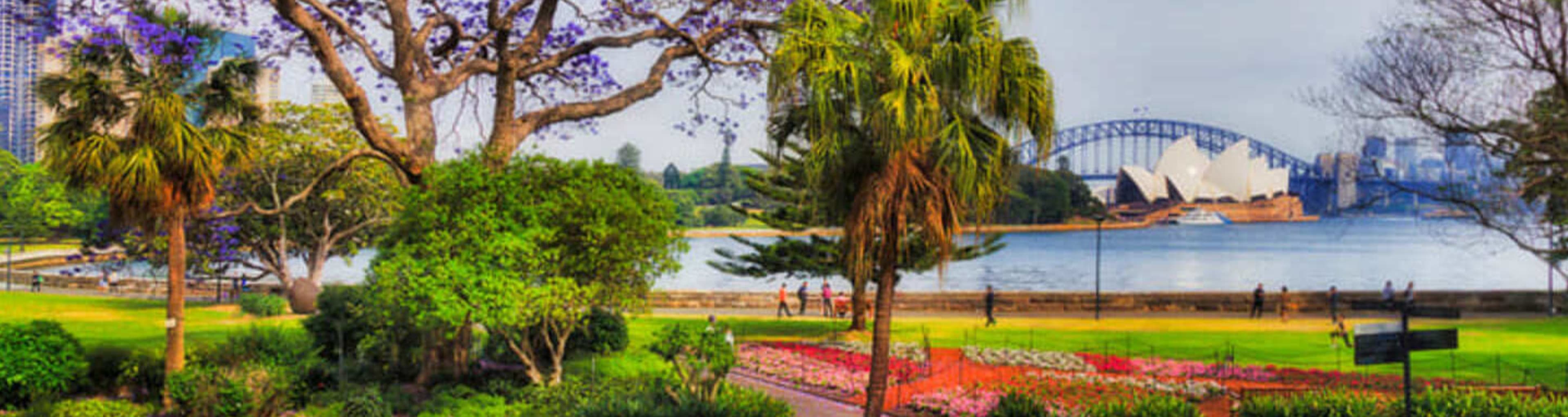 View of Sydney Harbour Bridge from a city park