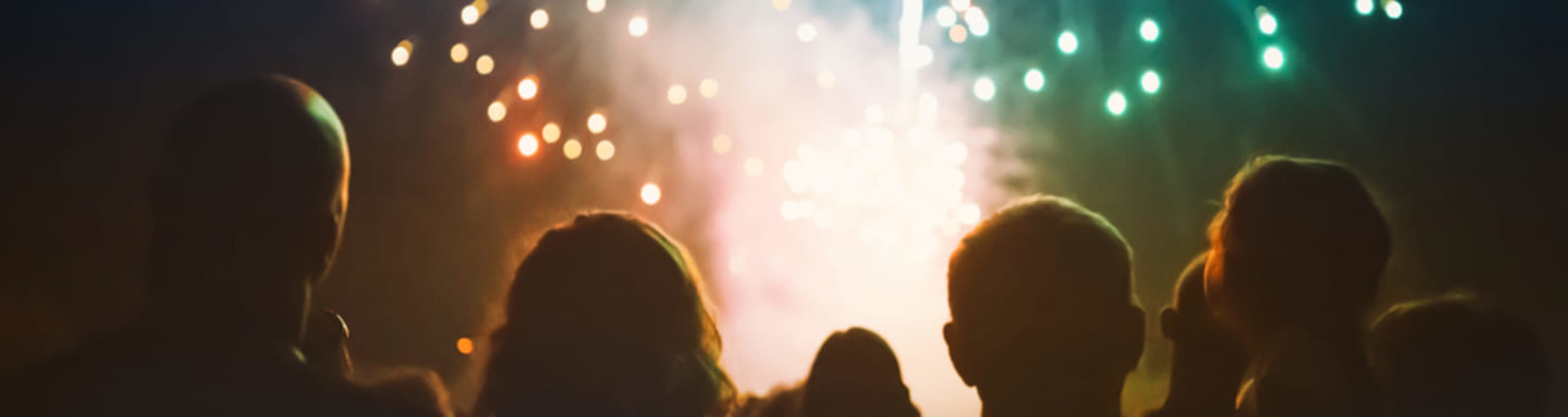 Group of people watching fireworks.