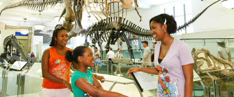 American Museum of Natural History tickets discount | New York Explorer Pass