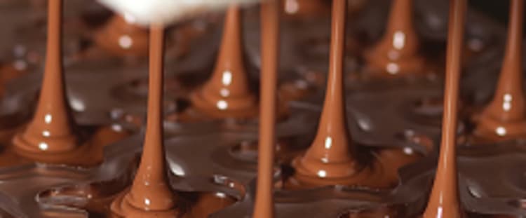 Gourmet Chocolate Museum.jpeg