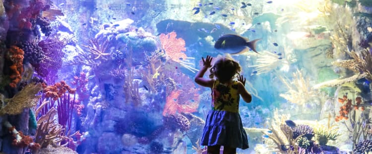 San Diego Birch Aquarium