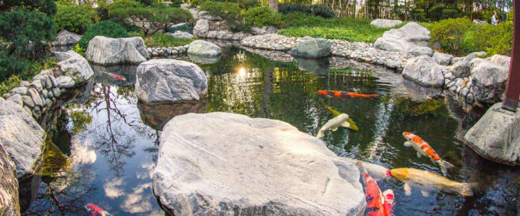 Japanese Friendship Garden San Diego