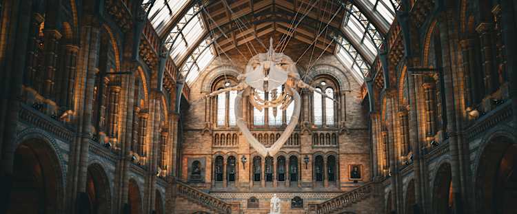 Natural History Museum.