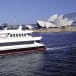 1 hour harbour sightseeing cruise