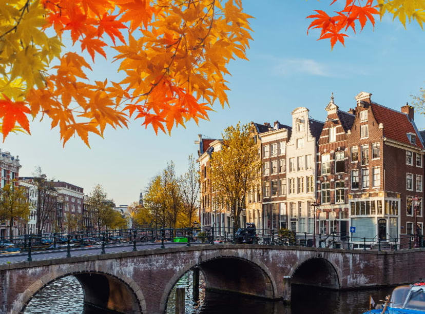 Amsterdam bridge and canal houses surrounded by fall-colored trees