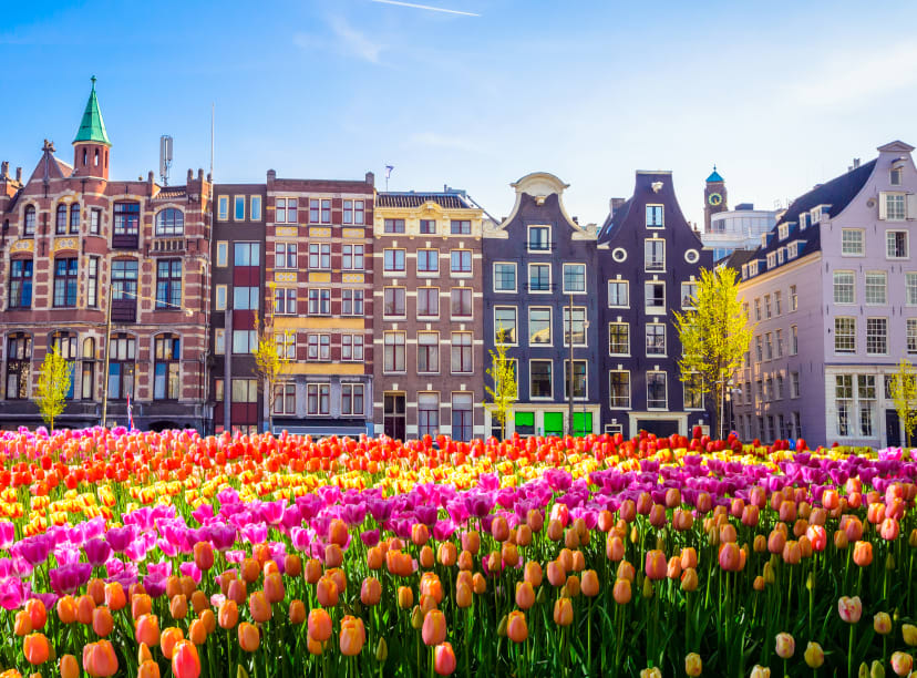 Choses gratuites à faire à Amsterdam 