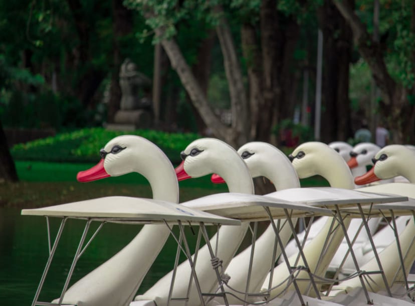 Swan pedal boats in Lumpini Park, Bangkok.