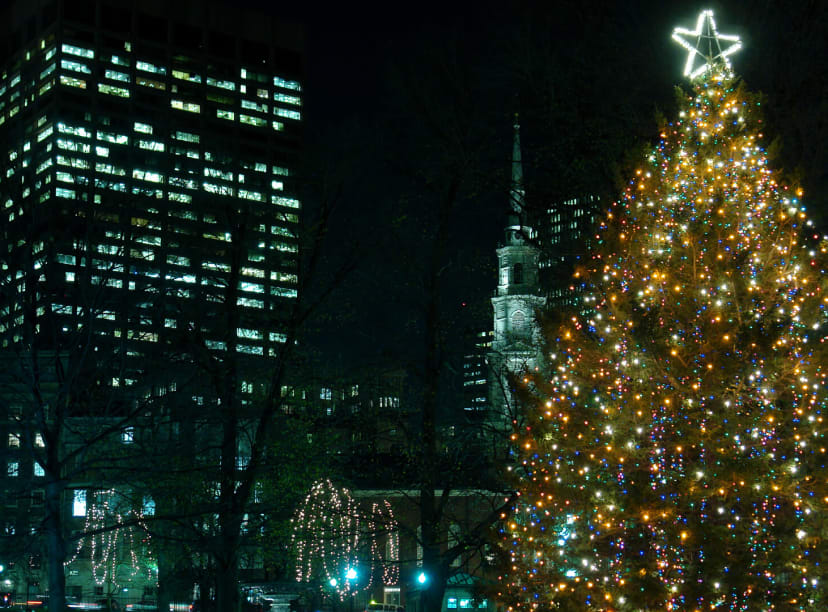 Boston's official Christmas tree after dark