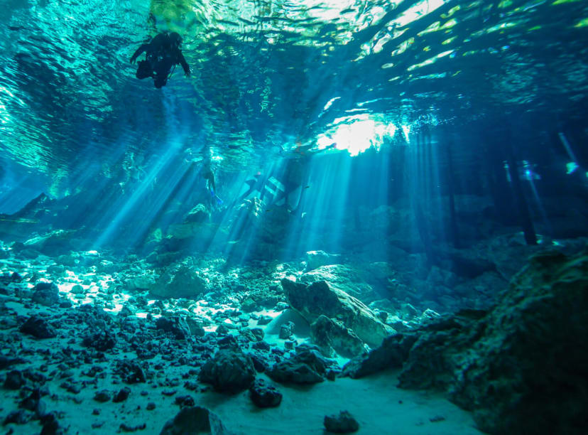 Divers explore the clear waters of a Cancun cenote